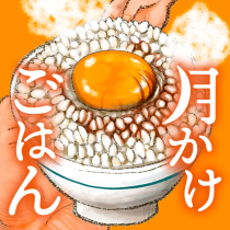 月かけごはん