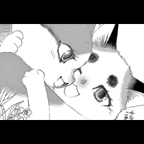 金目銀目ねこ館