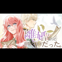 離婚するつもりだった。