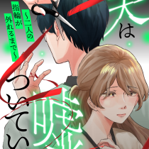 夫は嘘をついている～二人の指輪が外れるまで～