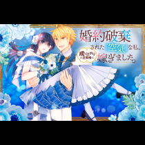 婚約破棄された『空気』な私、成り上がりの旦那様に嫁ぎました。 THE COMIC