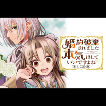 婚約破棄されました 本気出していいですよね THE COMIC