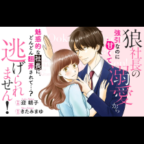 狼社長の溺愛から逃げられません！