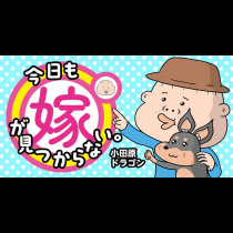 今日も嫁が見つからない。