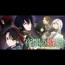 夜闇の婚姻　前世の宿縁と偽りの婚約者 THE COMIC