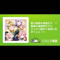 弱小国家の英雄王子　～最強の魔術師だけど、さっさと国出て自由に生きてぇぇ！～