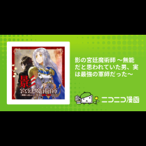 影の宮廷魔術師 ～無能だと思われていた男、実は最強の軍師だった～