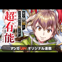 家で無能と言われ続けた俺ですが、世界的には超有能だったようです