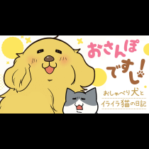 おさんぽですし！　おしゃべり犬とイライラ猫の日記