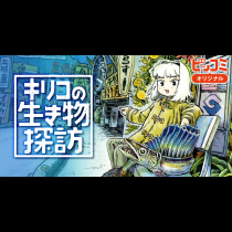 キリコの生き物探訪
