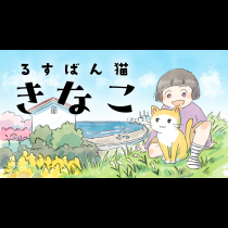 るすばん猫きなこ