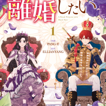 黒髪皇女は離婚したい