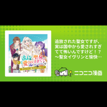 追放された聖女ですが、実は国中から愛されすぎてて怖いんですけど！？～聖女イヴリンと愉快な（？）仲間たち～