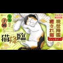 猫降臨