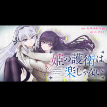 姫の護衛は楽じゃない