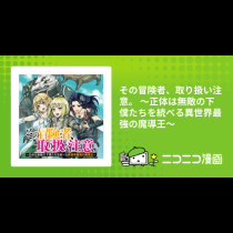 その冒険者、取り扱い注意。 ～正体は無敵の下僕たちを統べる異世界最強の魔導王～