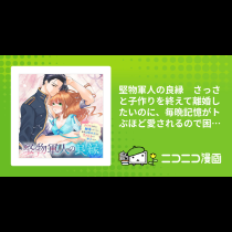 堅物軍人の良縁　さっさと子作りを終えて離婚したいのに、毎晩記憶がトぶほど愛されるので困っています