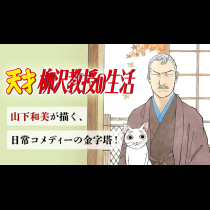 天才柳沢教授の生活