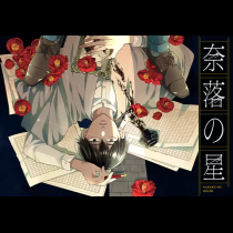 奈落の星