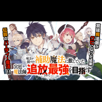 味方が弱すぎて補助魔法に徹していた宮廷魔法師、追放されて最強を目指す