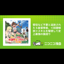 壁役など不要と追放されたＳ級冒険者、≪奴隷解放≫スキルを駆使して史上最強の国造り