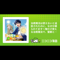 治癒魔法は使えないと追放されたのに、なぜか頼られてます～俺だけ使える治癒魔法で、聖獣と共に気づけば世界最強になっていた～