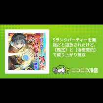 Sランクパーティーを無能だと追放されたけど、【鑑定】と【治癒魔法】で成り上がり無双