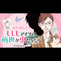 もしもアイツの前世が虫だったら　～前世動物診断窓口～