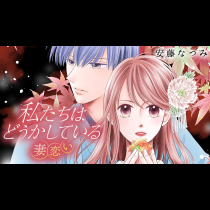 私たちはどうかしている　妻恋い