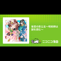 後宮の影公主～呪術師は謎を読む～