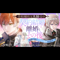 宰相補佐と黒騎士の契約結婚と離婚とその後