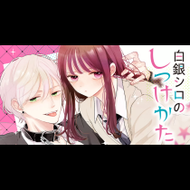 白銀シロのしつけかた