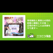 宰相補佐と黒騎士の契約結婚と離婚とその後 ～辺境の地で二人は夫婦をやり直す～