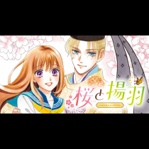 桜と揚羽