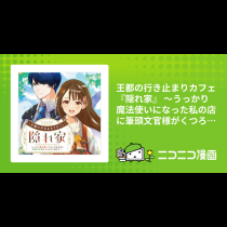 王都の行き止まりカフェ『隠れ家』 ～うっかり魔法使いになった私の店に筆頭文官様がくつろぎに来ます～