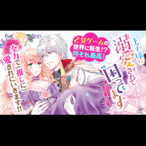 王子様に溺愛されて困ってます～転生ヒロイン、乙女ゲーム奮闘記～