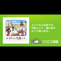 メイドなら当然です。 万能メイド、濡れ衣かぶって旅に出る。