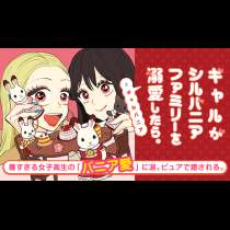 ギャルがシルバニアファミリーを溺愛したら。＃ギャルバニア