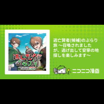 逃亡賢者(候補)のぶらり旅 ～召喚されましたが、逃げ出して安寧の地探しを楽しみます～