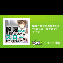 解雇された暗黒兵士(30代)のスローなセカンドライフ