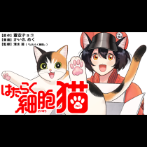 はたらく細胞　猫