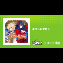 エリスの聖杯Ｓ