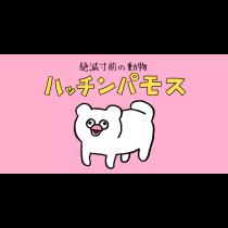 絶滅寸前の動物　ハッチンパモス