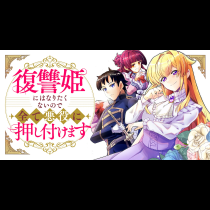 復讐姫にはなりたくないので全て悪役に押し付けます