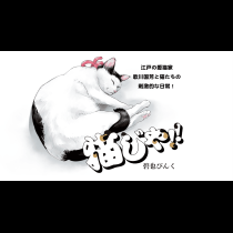 猫じゃ!!