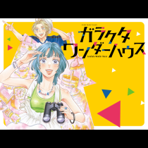 ガラクタワンダーハウス