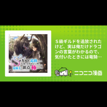 Ｓ級ギルドを追放されたけど、実は俺だけドラゴンの言葉がわかるので、気付いたときには竜騎士の頂点を極めてました。