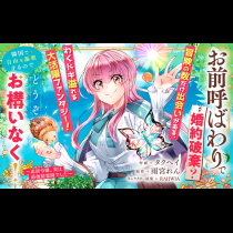 お前呼ばわりで婚約破棄？隣国で自由を謳歌するのでどうぞお構いなく！～追放令嬢、実は最強精霊師でした～