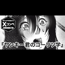 ヤンキー君のコーリツ学