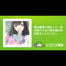 俺は義妹に嘘をつく〜血の繋がらない妹を俺が引き取ることにした〜